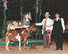 Mare and Foal Class AMHA Nationals